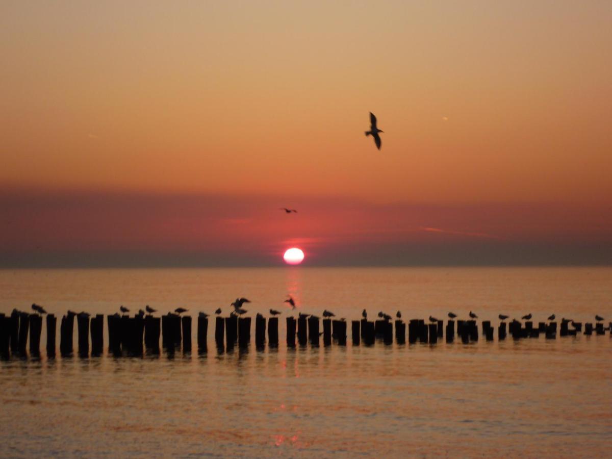Vakantiehuis Domburg Do12 Zewnętrze zdjęcie